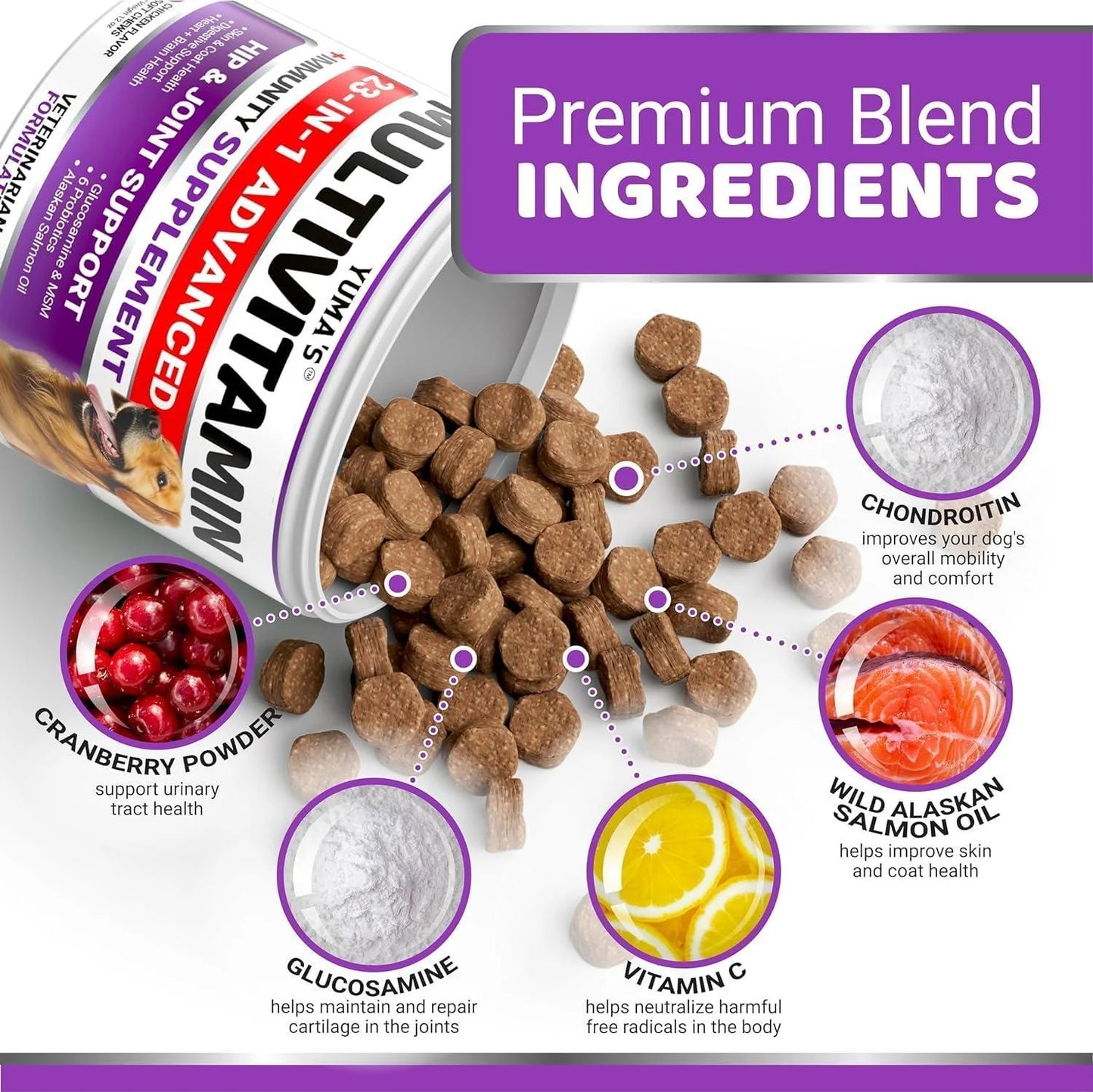 (2 Pack) Multivitamin Treats for Dogs Made in USA