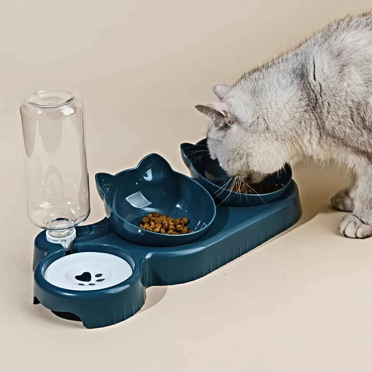 Elevated Pet Feeding Station with Automatic Water Dispenser