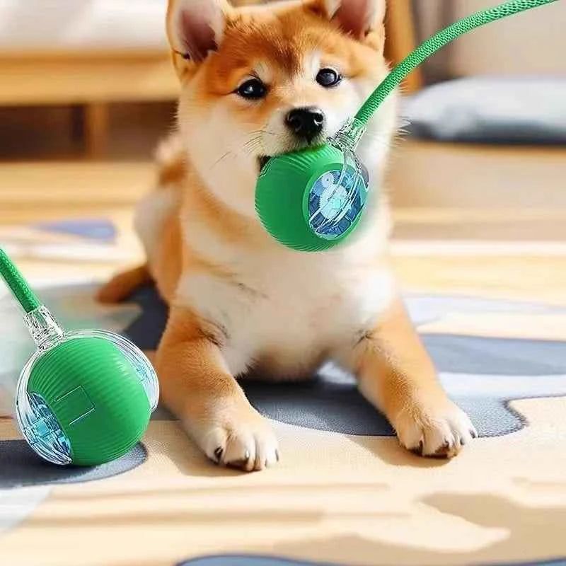Automatic Rolling Ball