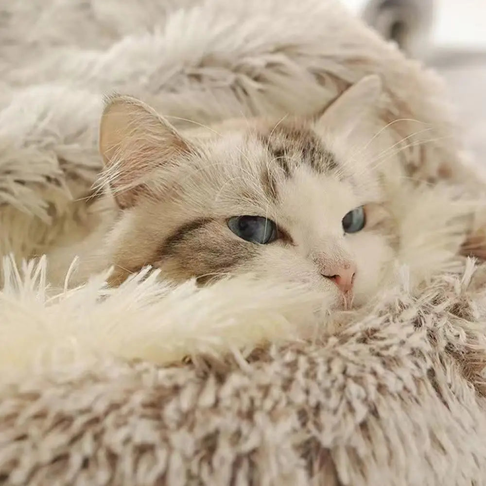 Plush Round Bed
