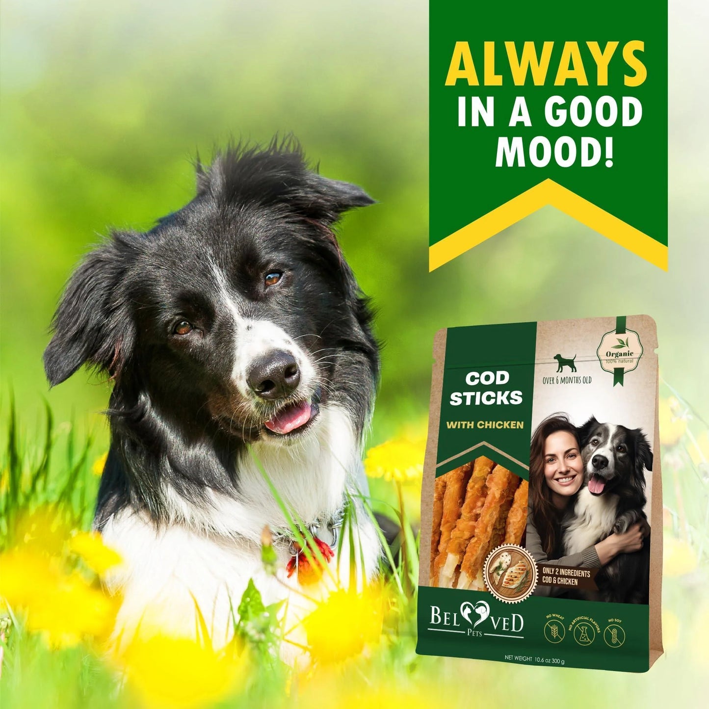 Cod Sticks Dog Treats Chicken Wrapped All Natural Rawhide Free & Grain Free Long Lasting Chews for Large & Small Dogs Organic Dried Pet Snacks Support Healthy Teeth & Skin Coat