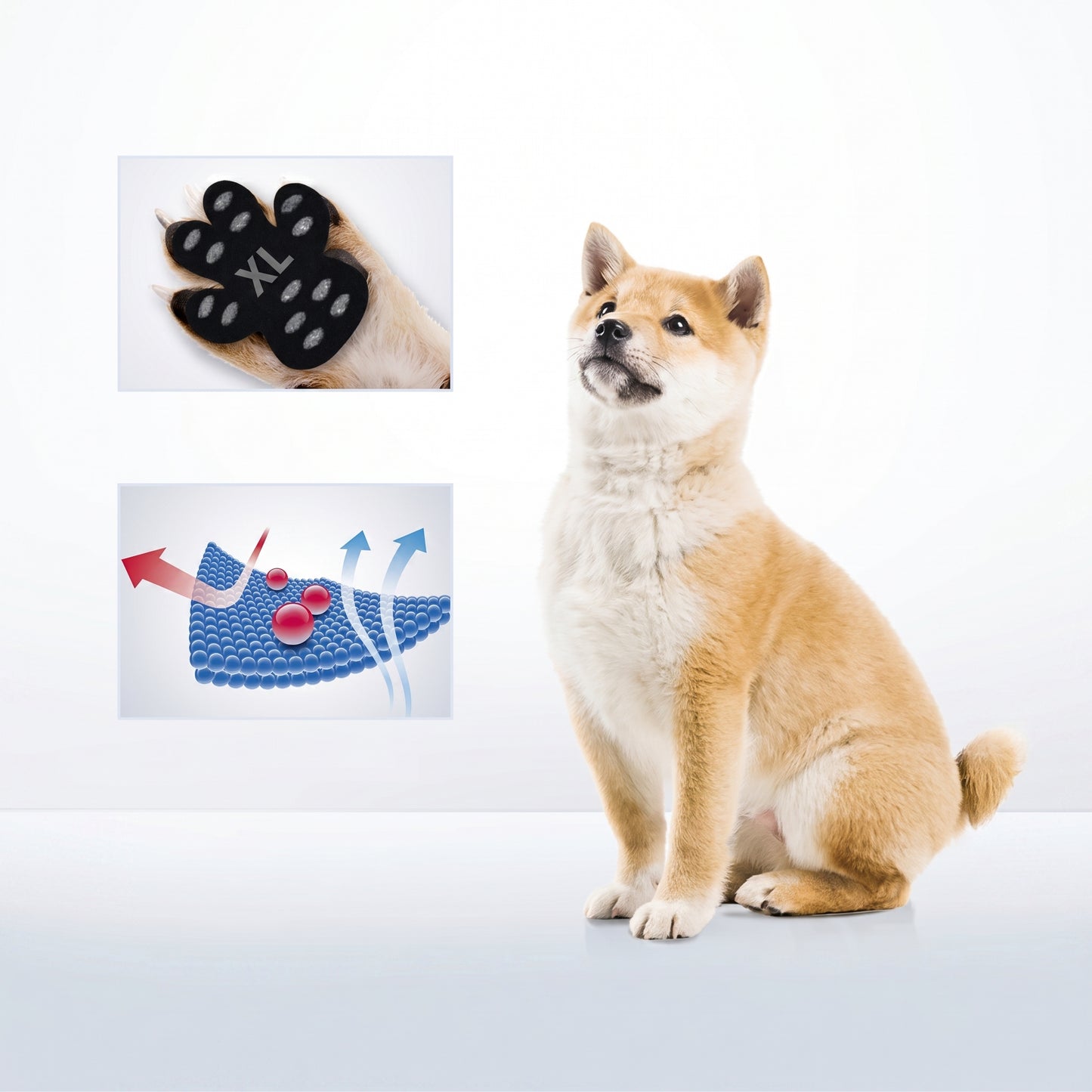 Disposable Paw Protectors for Dogs