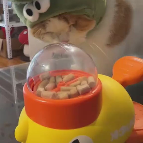 Duck Puzzle Feeder for pets