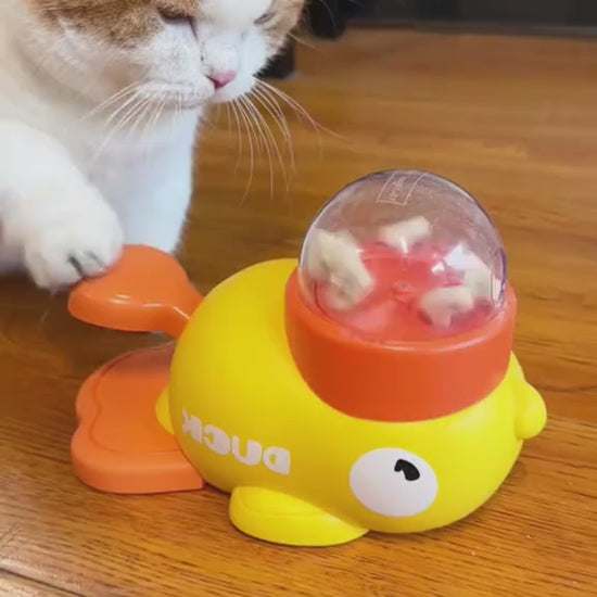 Duck Puzzle Feeder for pets