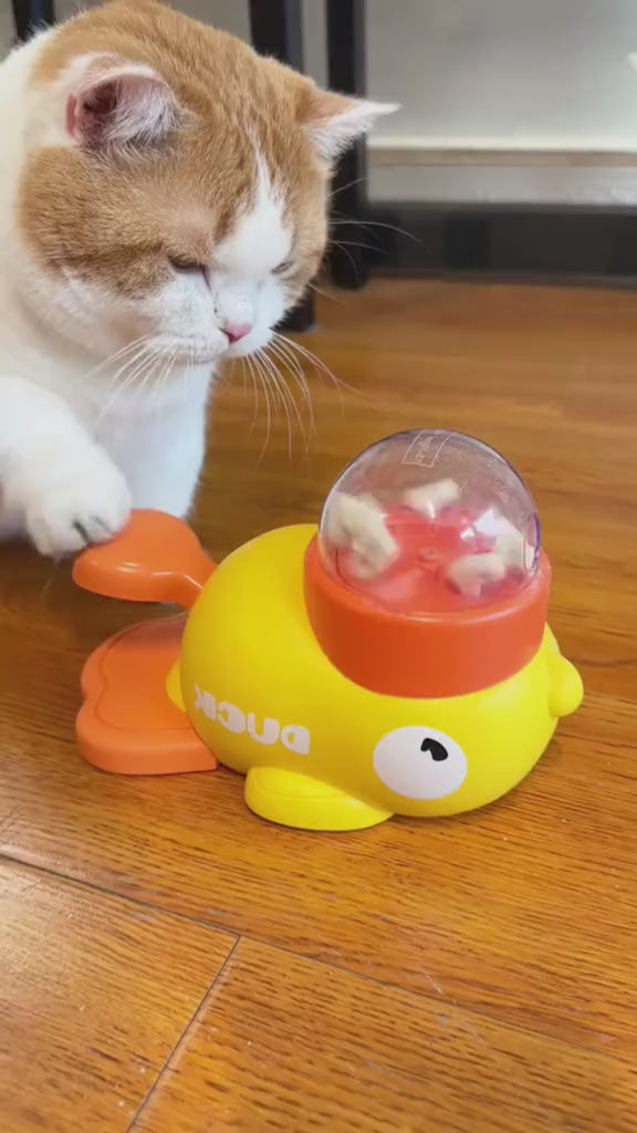Duck Puzzle Feeder for pets