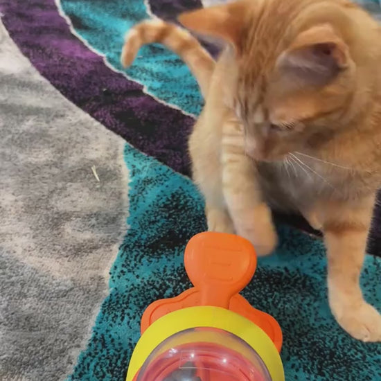 Duck Puzzle Feeder for pets